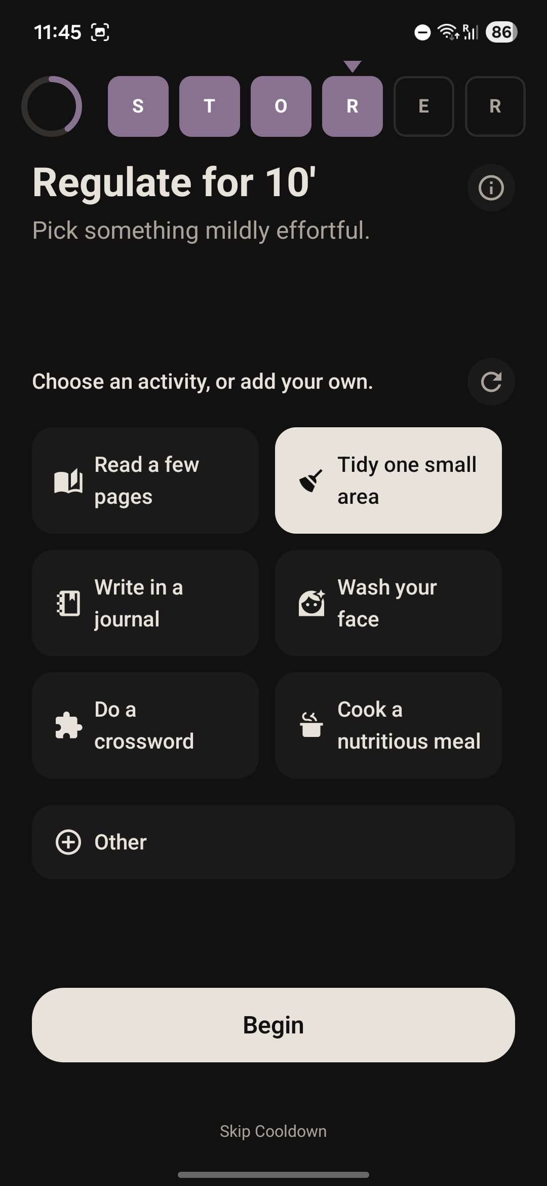 Regulate — pick something mildly effortful
